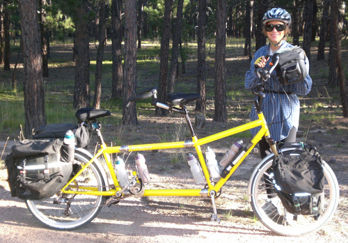 Terry and the Bee (da Vinci Tandem).